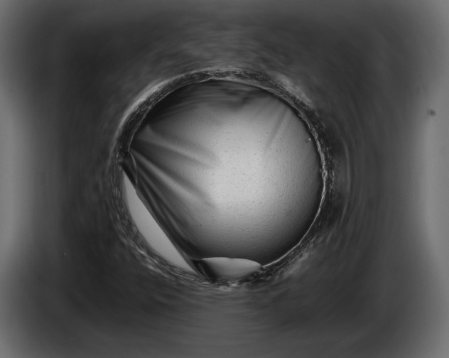 X0000086291400200704131537