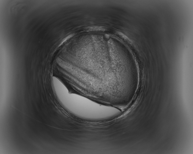 X0000086291401200704131537