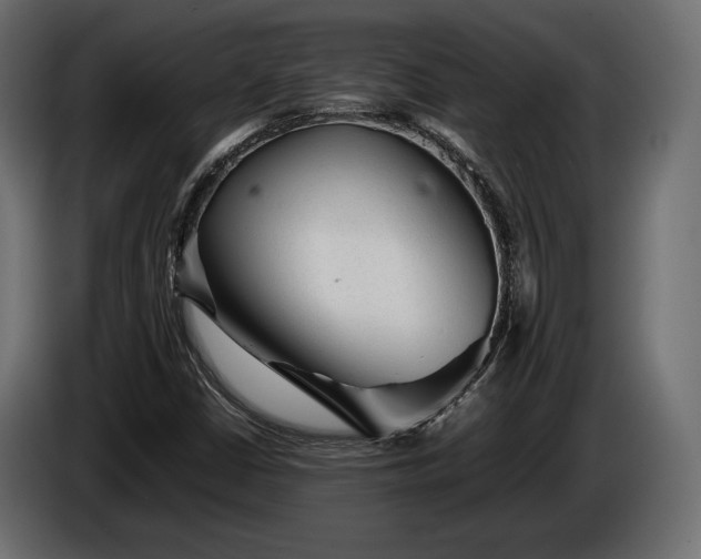 X0000086291402200704131537