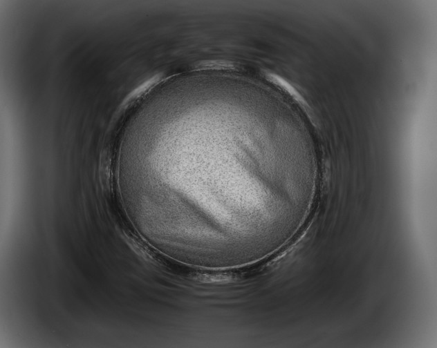 X0000086291403200704131537