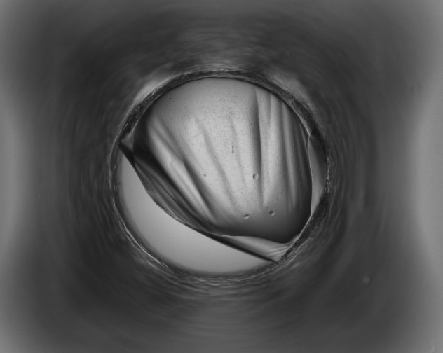 X0000086291404200704131537