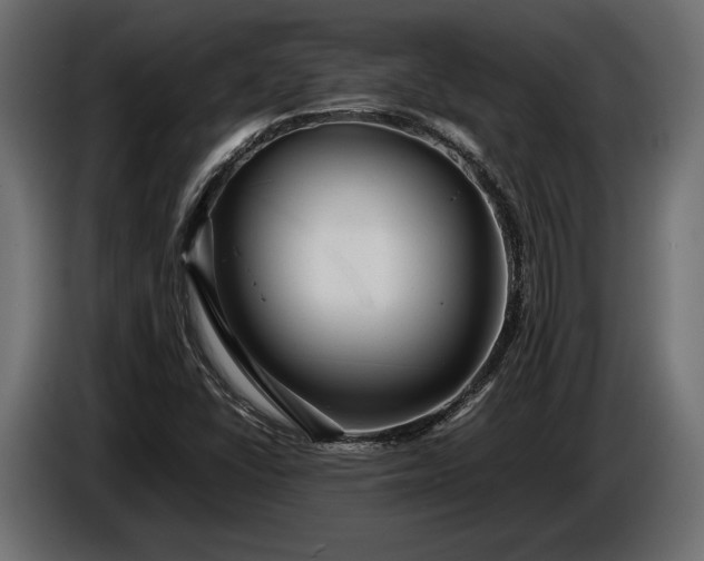 X0000086291406200704131537
