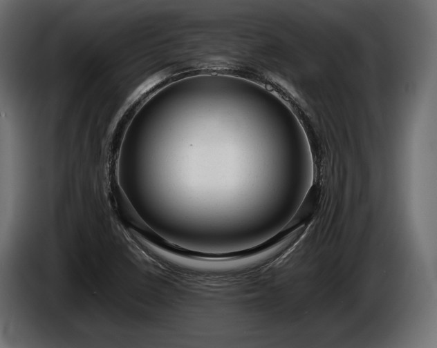 X0000086291410200704131537