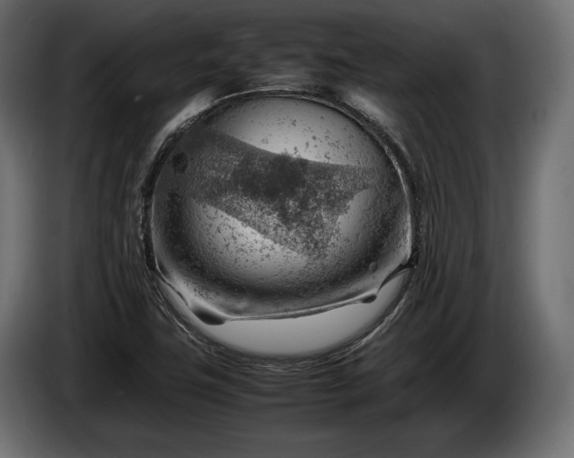 X0000086291411200704131537