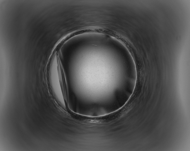 X0000086291412200704131537