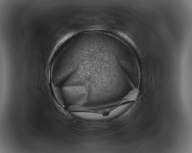 X0000086291413200704131537