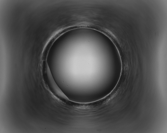 X0000086291414200704131537