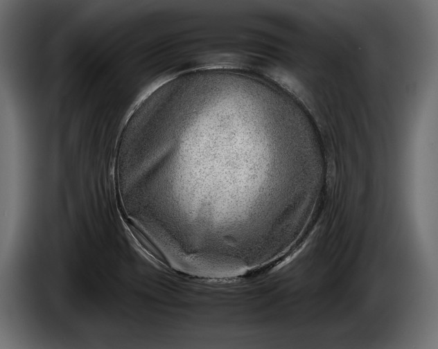 X0000086291417200704131537