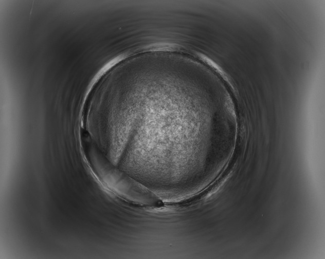 X0000086291418200704131537