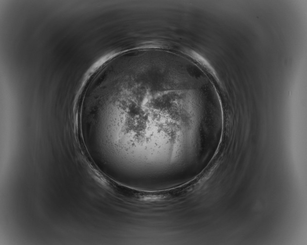 X0000086291419200704131537