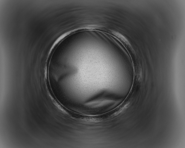 X0000086291420200704131537