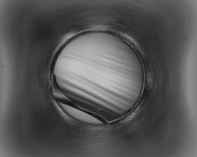 X0000086291422200704131537