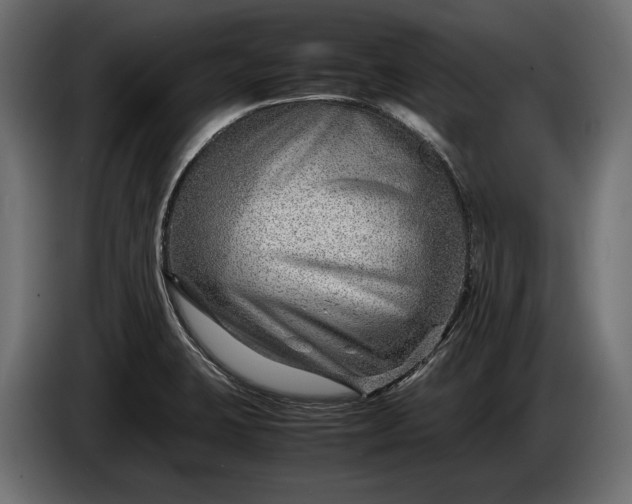 X0000086291423200704131537
