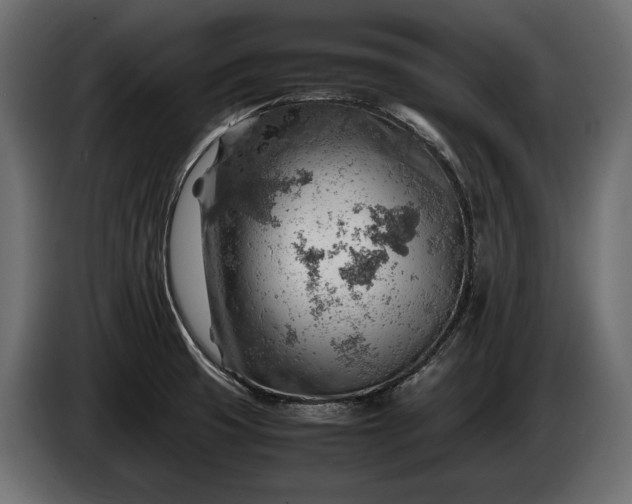 X0000086291425200704131537