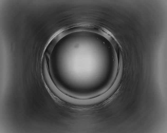 X0000086291426200704131537