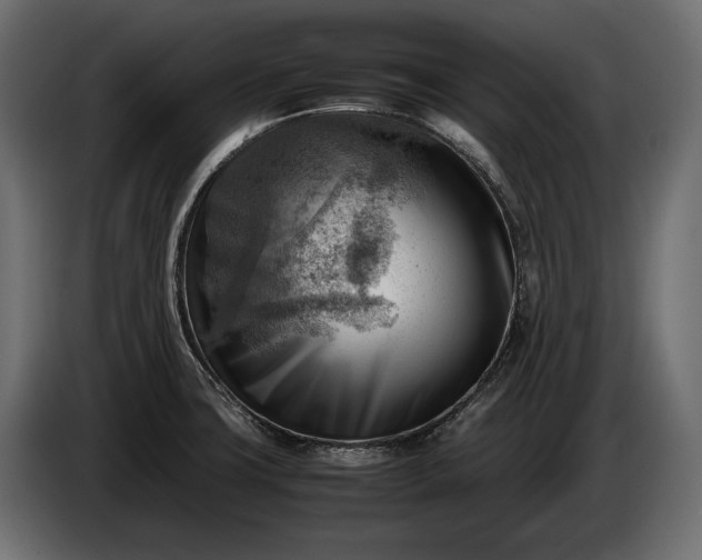 X0000086291427200704131537