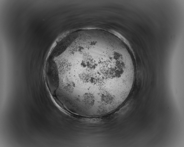 X0000086291429200704131537