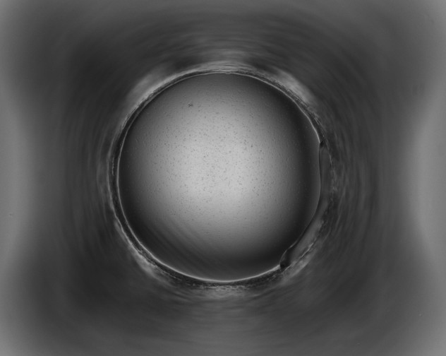 X0000086291430200704131537