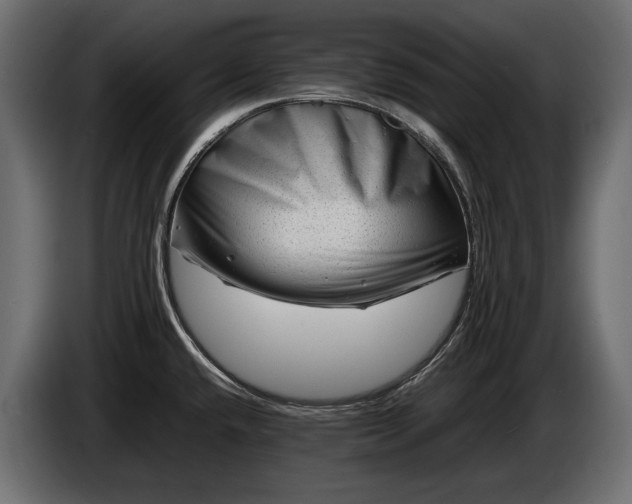 X0000086291432200704131537
