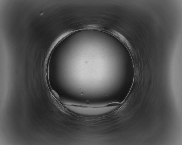 X0000086291435200704131537