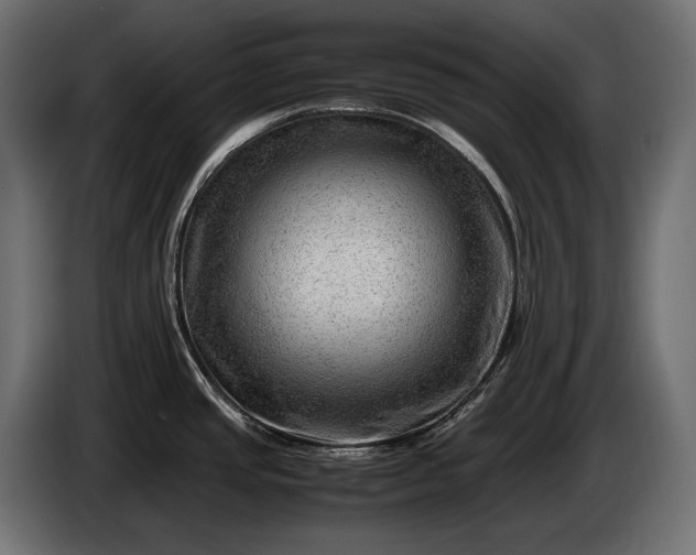 X0000086291437200704131537