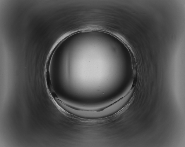 X0000086291438200704131537