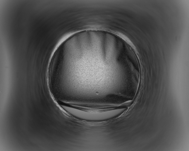 X0000086291440200704131537