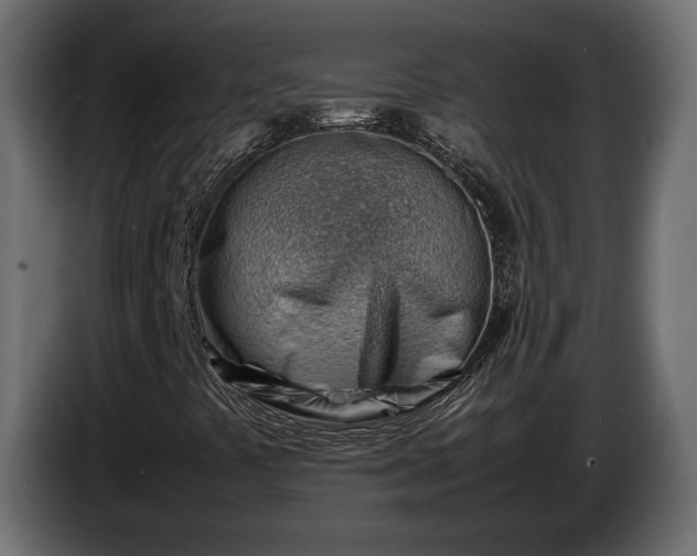 X0000086291441200704131537