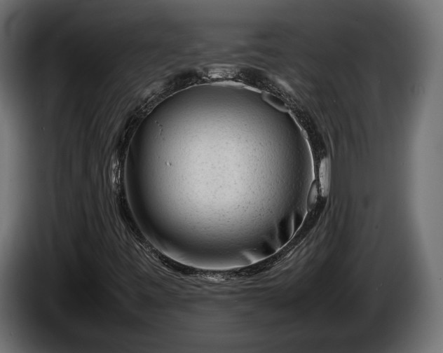 X0000086291443200704131537