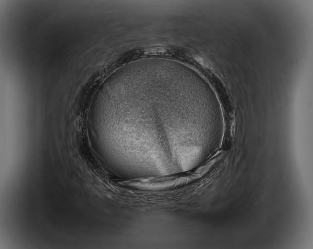X0000086291445200704131537
