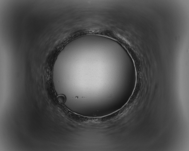 X0000086291447200704131536