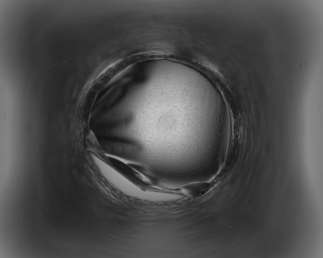 X0000086291448200704131536