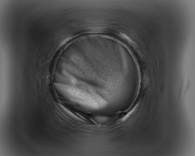 X0000086291449200704131536