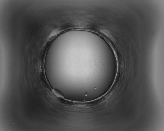 X0000086291451200704131536
