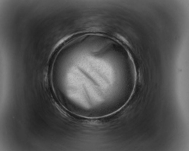 X0000086291452200704131536