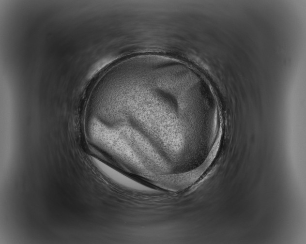 X0000086291453200704131536