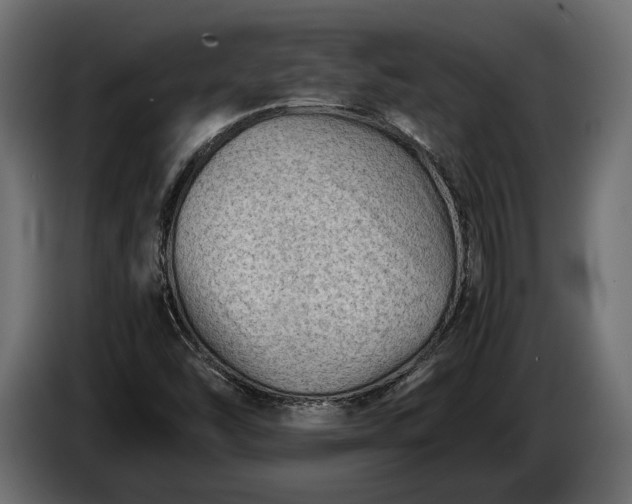 X0000086291454200704131536