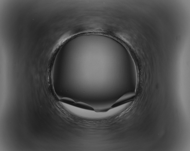 X0000086291455200704131536