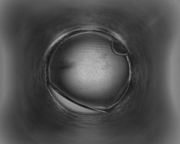 X0000086291456200704131536