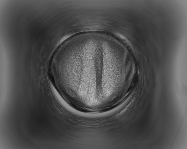 X0000086291457200704131536