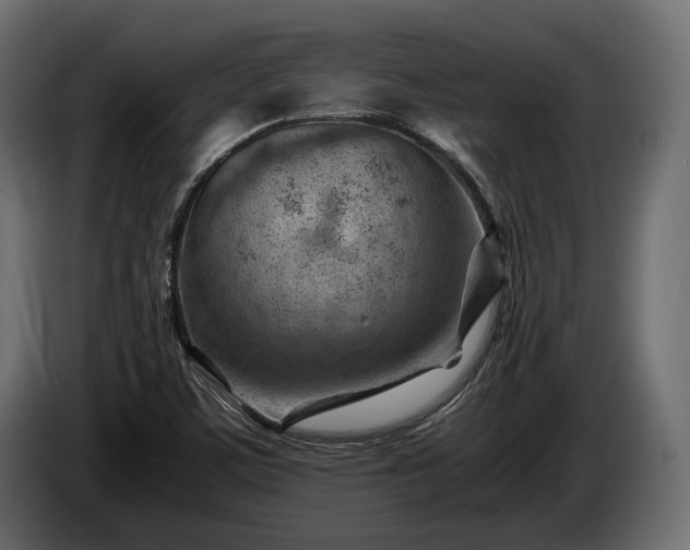 X0000086291459200704131536