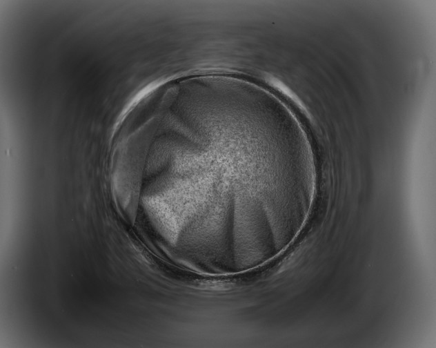 X0000086291461200704131536