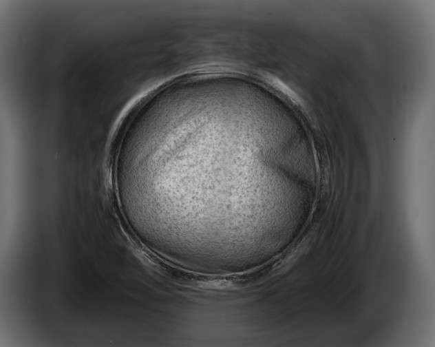 X0000086291462200704131536