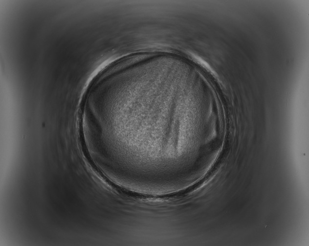 X0000086291463200704131536