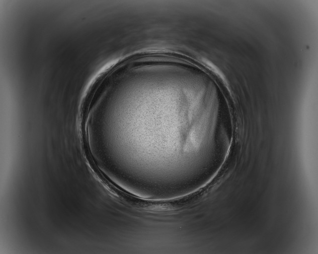 X0000086291464200704131536