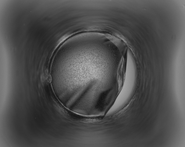 X0000086291465200704131536