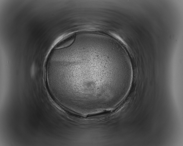 X0000086291467200704131536