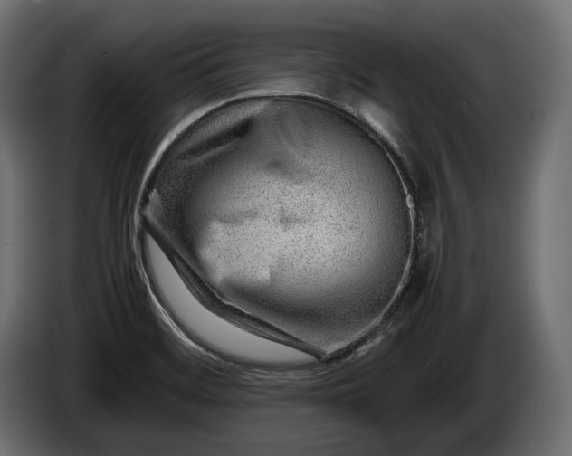 X0000086291468200704131536