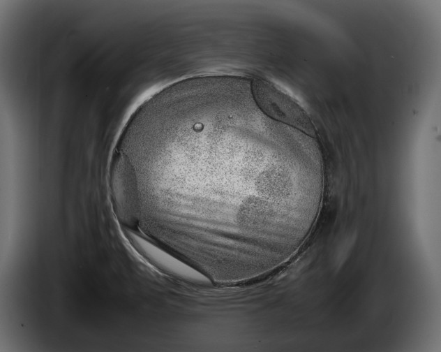 X0000086291471200704131536