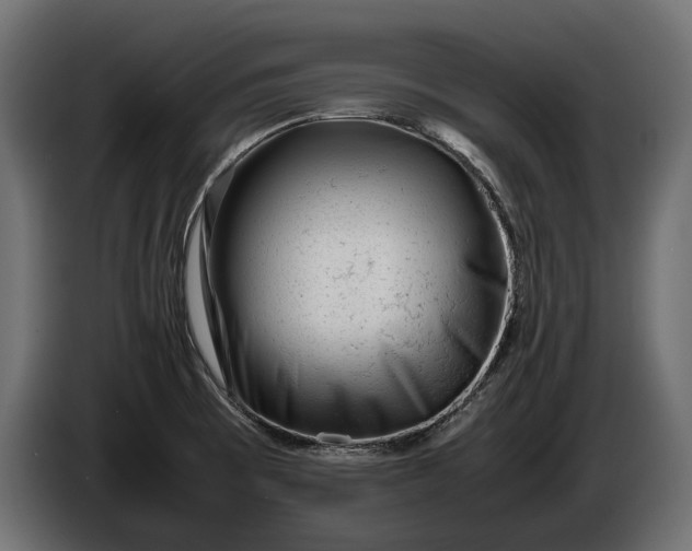 X0000086291473200704131536